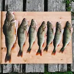 Hébergement de vacances Degersandsvaegens