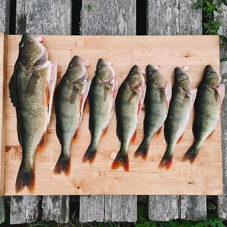 Ferienhaus Degersandsvaegens