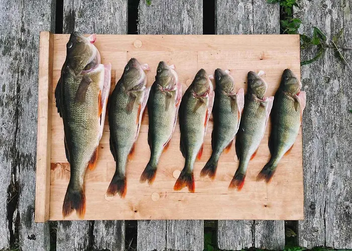 Дом отдыха Degersandsvaegens